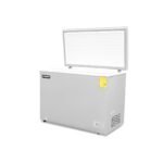 Congelador Horizontal 282L Rhino CONGECO-10 - Imagen 6