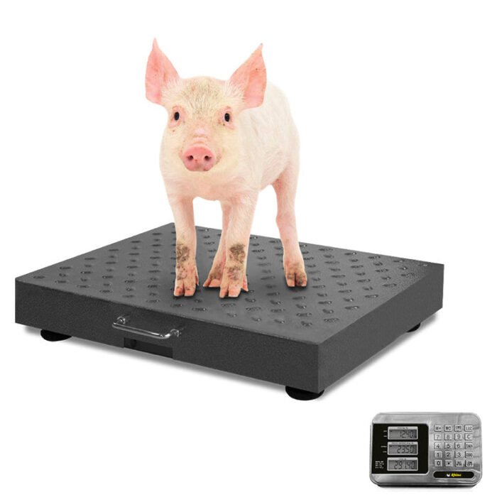 Bascula Plataforma 300 kg Rhino BAPIC-300 - Imagen 2