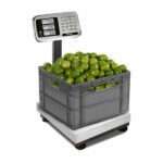 Bascula Plataforma Plegable 80 Kg Rhino BP-80 - Imagen 2