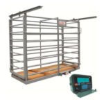 Bascula Ganadera con Piso de Madera Incluye Jaula + Modulo WI 2,000kg Torrey PG2000 + 0WI